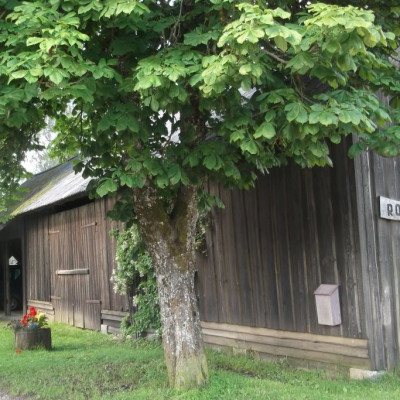 Rogas A. Gailīša zemnieku saimniecība - saimniecību bildes