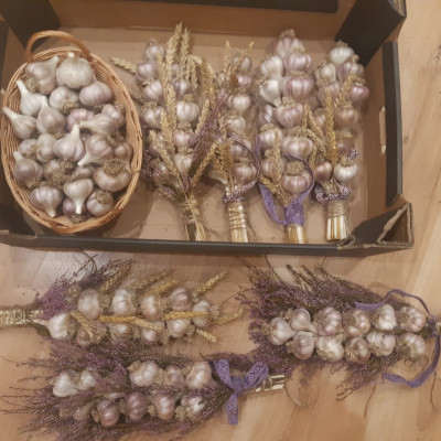 Sabiedrība ar ierobežotu atbildību SAULGRIEŽI AE - saimniecību bildes