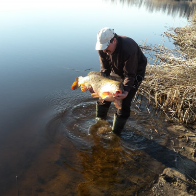 IK GUNTARS BALAŠKO - saimniecību bildes