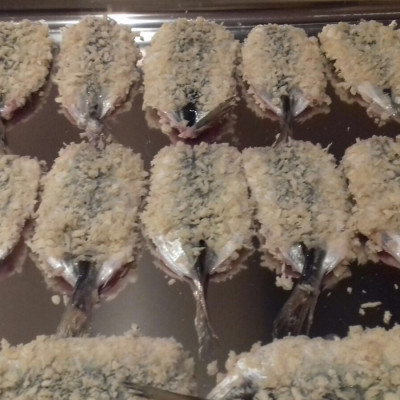 IK Zivju grozs - saimniecību bildes