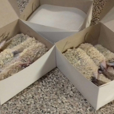 IK Zivju grozs - saimniecību bildes