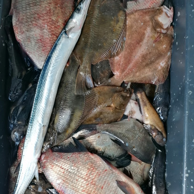 Limbažu rajona Salacgrīvas pilsētas lauku teritorijas Rolanda Ķirša zvejnieka - saimniecību bildes