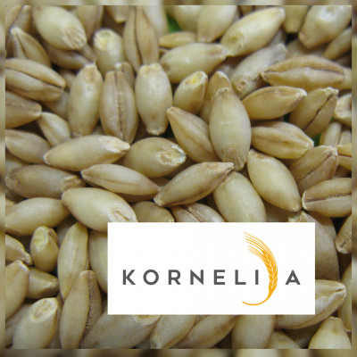 Agroresursu un ekonomikas institūts - saimniecību bildes