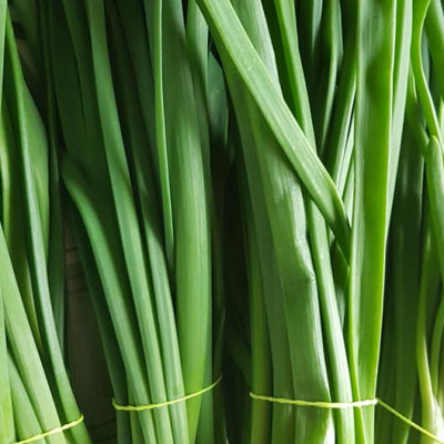 SIA Dankumu Dārzi - saimniecību bildes