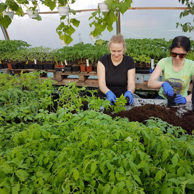 SIA Dankumu Dārzi - saimniecību bildes