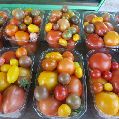 SIA Dankumu Dārzi - saimniecību bildes