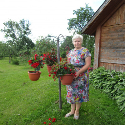 Inese Dambe - saimniecību bildes