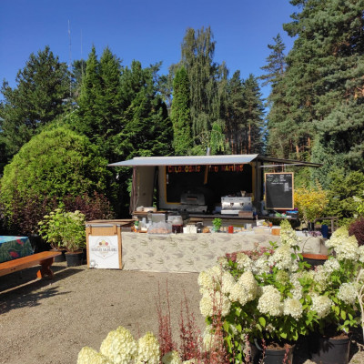 Ilzes Valges ražošanas uzņēmums mājas apstākļos - saimniecību bildes