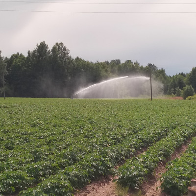 Zemnieku saimniecība LEJAS ŽAGARI - saimniecību bildes