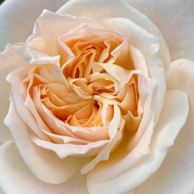 Sabiedrība ar ierobežotu atbildību Ar B Agro - saimniecību bildes