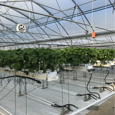 Sabiedrība ar ierobežotu atbildību Ar B Agro - saimniecību bildes