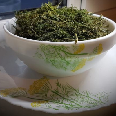 Kaspars Dilāns - saimniecību bildes