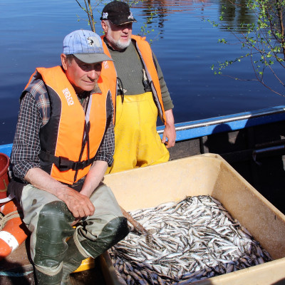 Sabiedrība ar ierobežotu atbildību Aļges 1 - saimniecību bildes