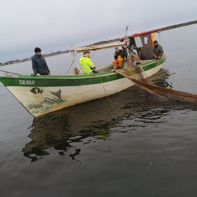 Sabiedrība ar ierobežotu atbildību Aļges 1 - saimniecību bildes