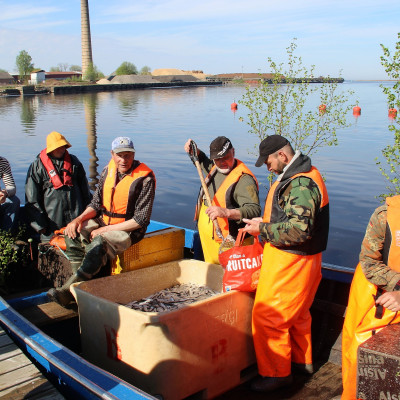 Sabiedrība ar ierobežotu atbildību Aļges 1 - saimniecību bildes