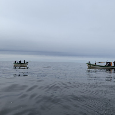 Sabiedrība ar ierobežotu atbildību Aļges 1 - saimniecību bildes