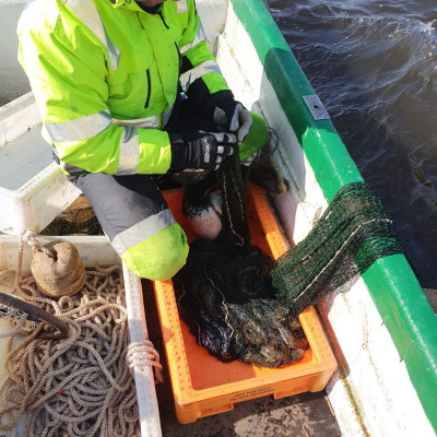Sabiedrība ar ierobežotu atbildību Aļges 1 - saimniecību bildes