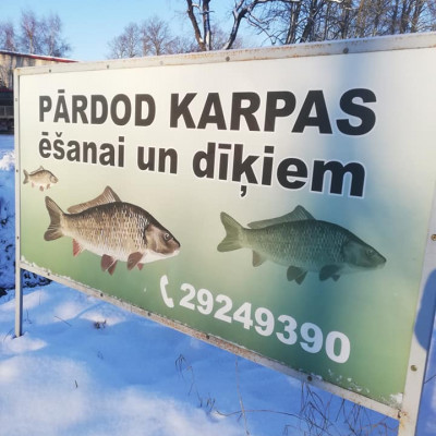 Liepājas rajona Durbes lauku teritorijas Ērika Rāvas zemnieku saimniecība - saimniecību bildes