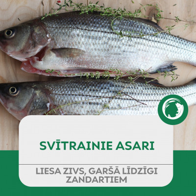 SIA Zivju māja Skangaļi - saimniecību bildes