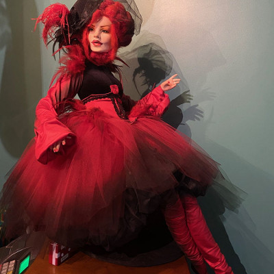 Sabiedrība ar ierobežotu atbildību NIKO A - saimniecību bildes