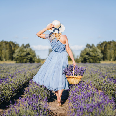 SIA ZOOVILLA / LavenderVilla - saimniecību bildes