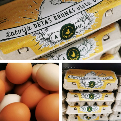 Zemnieku saimniecība SPRĪDĪŠI - saimniecību bildes