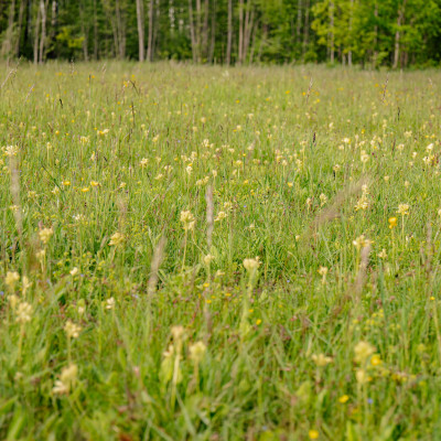 Sanita Matule - saimniecību bildes
