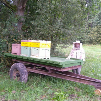 Jānis Vigovskis - saimniecību bildes