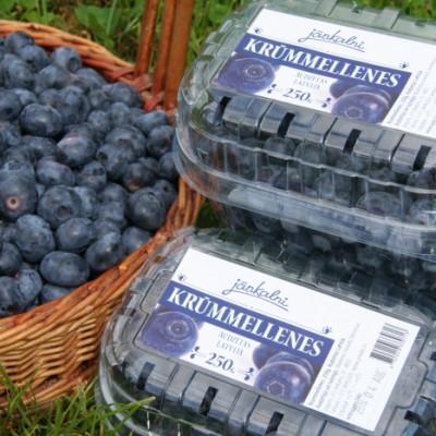 Vestienas pagasta M.Ozoliņa zemnieku saimniecība JĀŅKALNI - saimniecību bildes