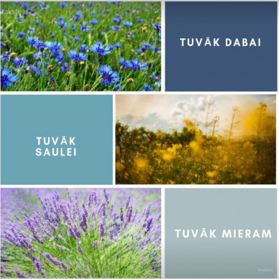 Aizkraukles rajona Kokneses ciemata zemnieku saimniecība JANAVAS - saimniecību bildes