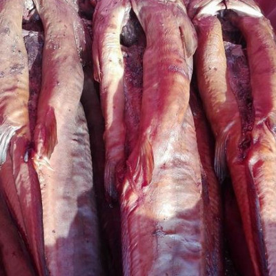 BERICO, Sabiedrība ar ierobežotu atbildību - saimniecību bildes