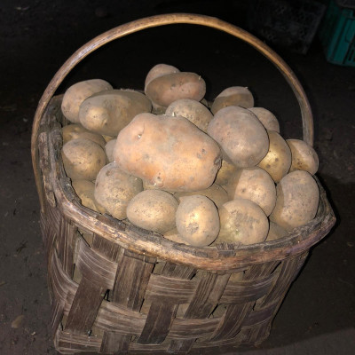 Popes pagasta zemnieku saimniecība Lejas - saimniecību bildes