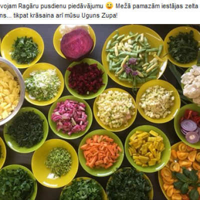 Skrīveru ciemata J.Vaivara zemnieku saimniecība RAGĀRES - saimniecību bildes