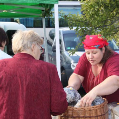 Jūrkalnes pagasta zemnieku saimniecība BĒRZIŅI - saimniecību bildes