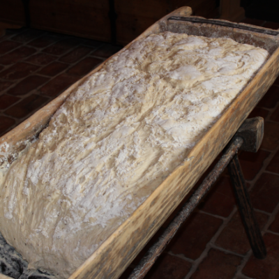 Jūrkalnes pagasta zemnieku saimniecība BĒRZIŅI - saimniecību bildes