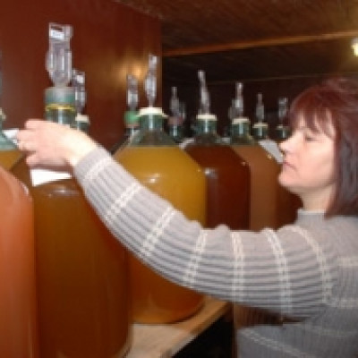 SIA Mājas vīns - saimniecību bildes