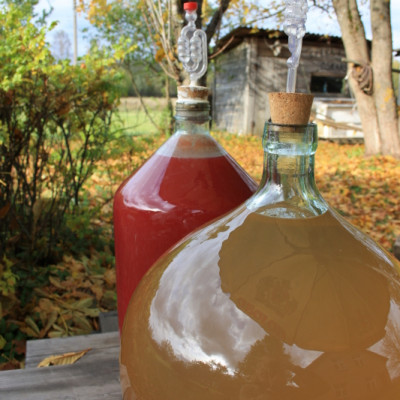 Zemnieku saimniecība Ozoliņi - saimniecību bildes