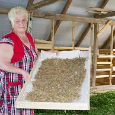 Liepājas rajona Dunalkas pagasta zemnieku saimniecība Turaidas - saimniecību bildes