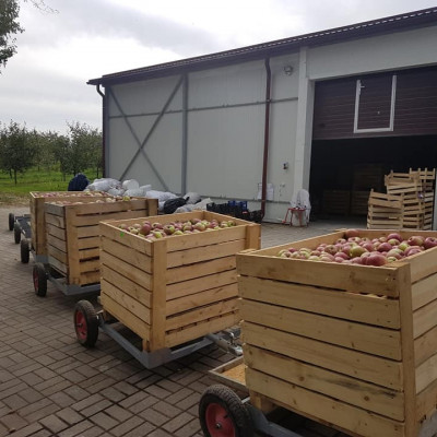 Nadežda Volkova - saimniecību bildes