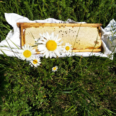 Zemnieku saimniecība LĪDUMI - saimniecību bildes