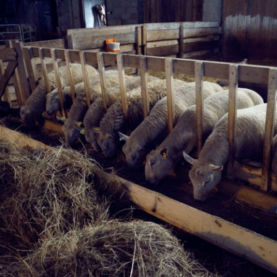 Sabiedrība ar ierobežotu atbildību RALLE - saimniecību bildes