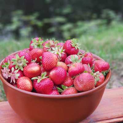 Krasti - saimniecību bildes