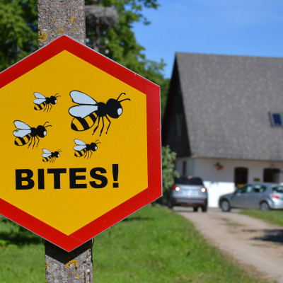 Turlavas pagasta zemnieku saimniecība BAĻĻAS - saimniecību bildes