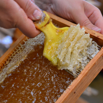 Turlavas pagasta zemnieku saimniecība BAĻĻAS - saimniecību bildes