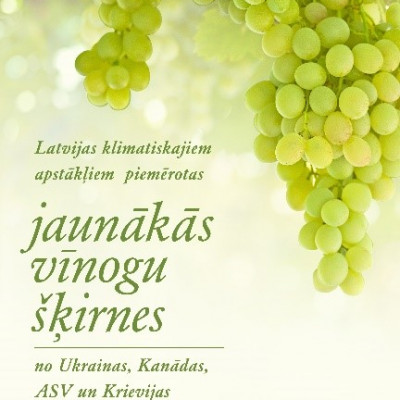 Inesis Grūbe - saimniecību bildes