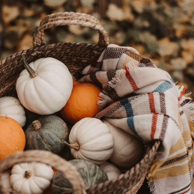 I.Alksnes zemnieku saimniecība KLIBLAPSAS - saimniecību bildes