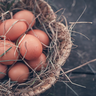 Alfrēds Ostrovskis - saimniecību bildes