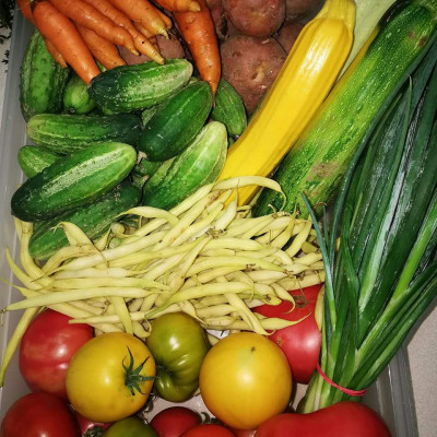 Sabiedrība ar ierobežotu atbildību Irbes bode - saimniecību bildes