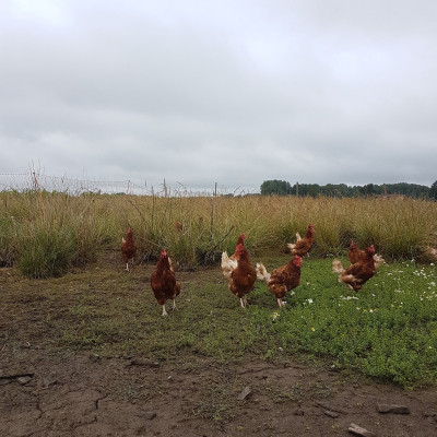 SIA Rītnieki - saimniecību bildes