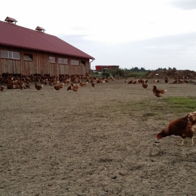 SIA Rītnieki - saimniecību bildes